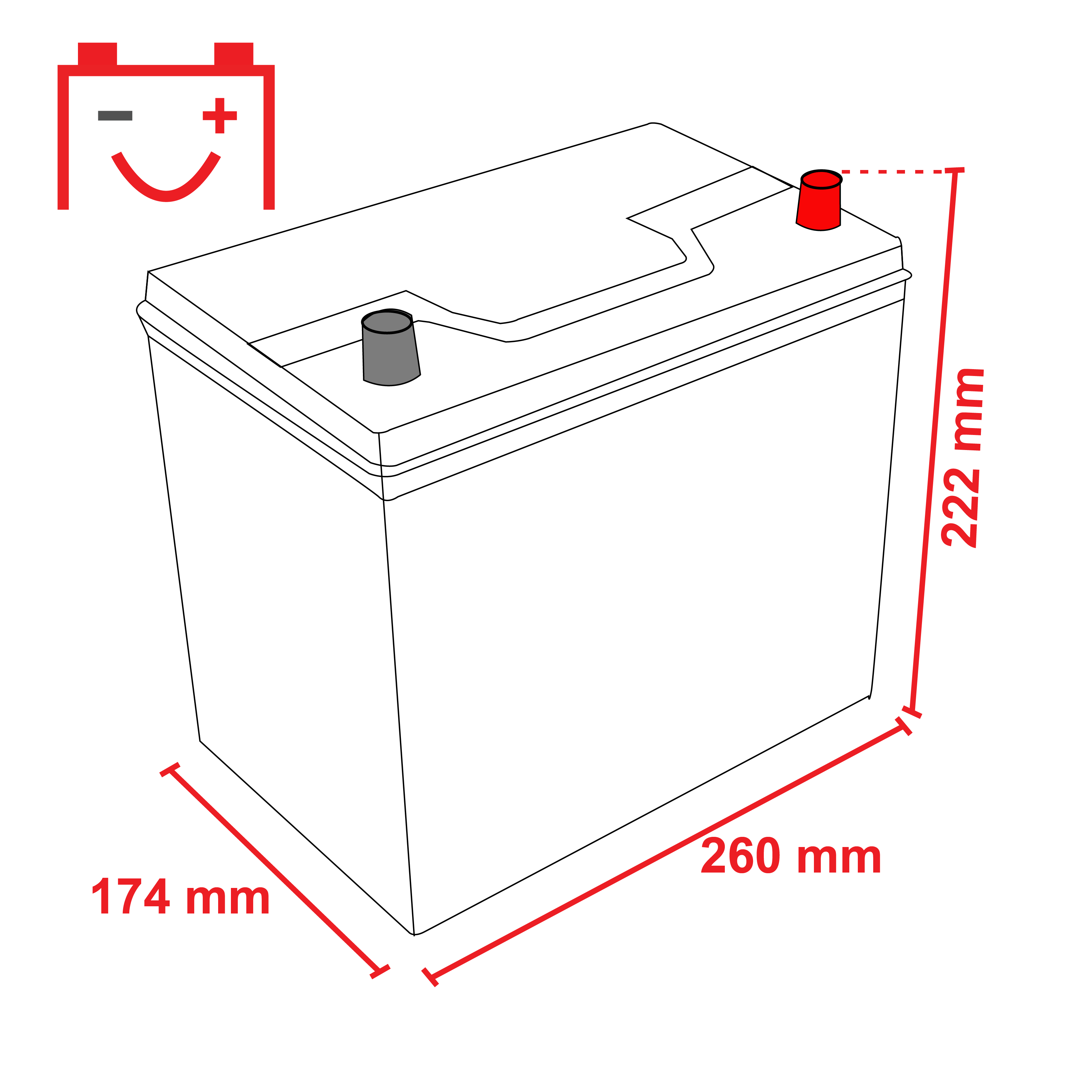 260x174x222mm-plus-rechts-01 Banner P7029 Power Bull 70Ah Autobatterie 570 412 063